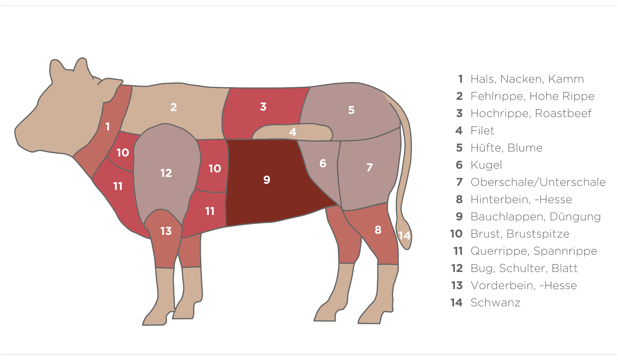 Rind
© Fokus Fleisch