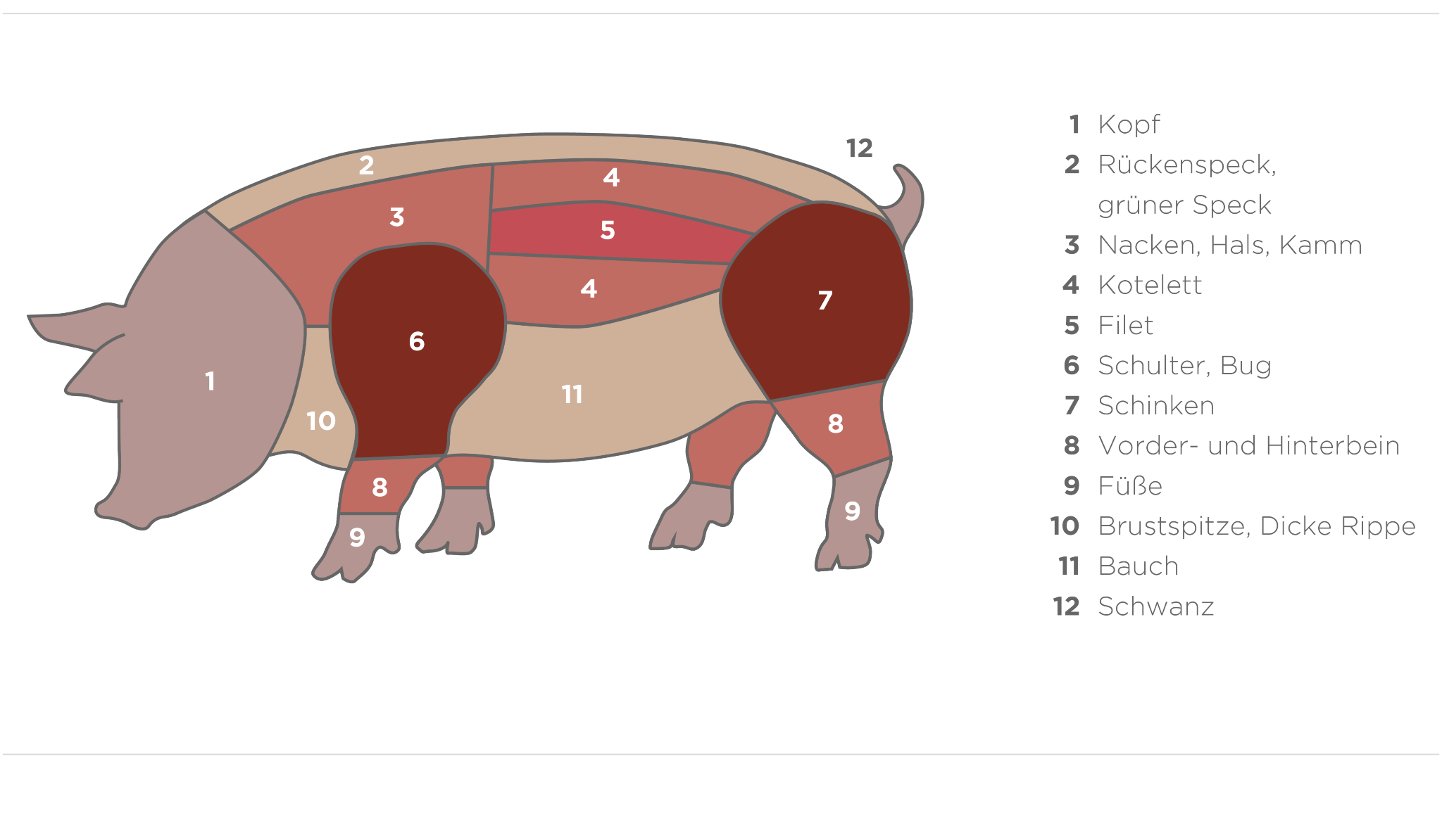 Schwein
© Fokus Fleisch