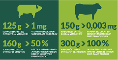 (c)Grafik: Toennies Dialog: Gesunde Ernährung mit Fleisch