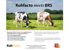 BRS und KuhFacto starten zum 1. Januar eine Medienpartnerschaft
© Kuhfacto