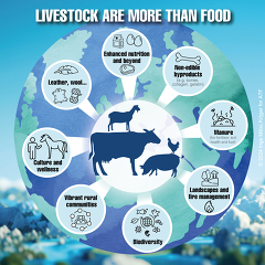 ATF - Seminar: Livestock are more than food
© ATF