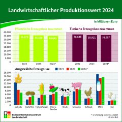 LandwirtschaftlicherProduktionswert 2024