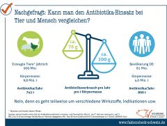 Antibiotikaverbrauch in Human- und Veterinärmedizin (auf das Lebengewicht bezogen)