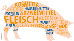 Schweinehaltung:  mehr als nur Lebensmittel