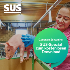 (c)SuS: Gratis "Sonderheft Schweinegesundheit"Schweine SUS Gratis