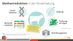 Möglichkeiten Methansenkung