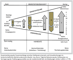 de letzebuerger ziichter 1/2021, S. 77 ff: Zusammenhang Viehbesatz Und Umweltwirkung (Rocco Lioy, Convis Lu)