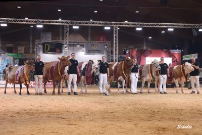 Grand Champions der German Dairy Show 2023
© Heinrich Schulte